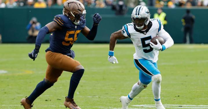 Rico Dowdle's big day and Ryan Fitzgerald's big kick give Panthers 16