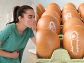 ¿Qué alimentos pueden transmitir salmonella? Conoce qué debes cuidar en la comida