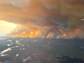 Trump officials push Canada to stop wildfires with ‘forest management’