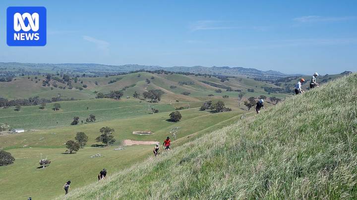 Ultramarathon runners push limits in 90-hour King of the Hill race