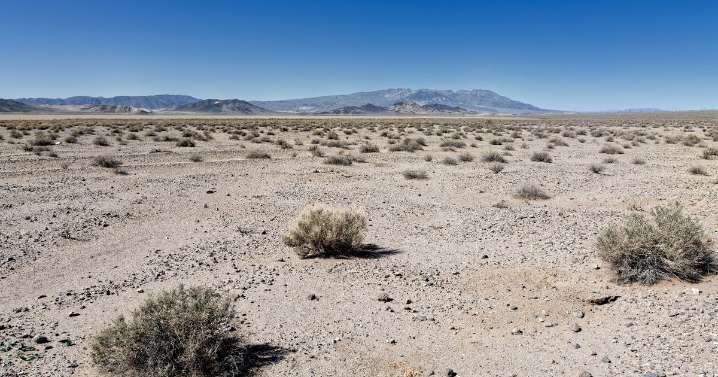 Former desert waterpark left to run dry has become skateboarders' paradise