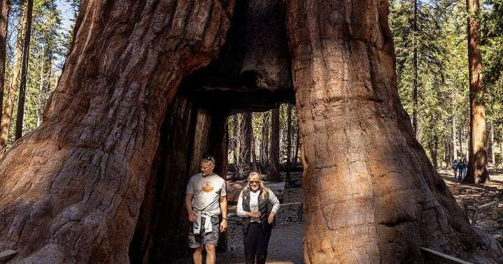 National Park Service to hike entrance fees for foreign visitors to certain popular sites