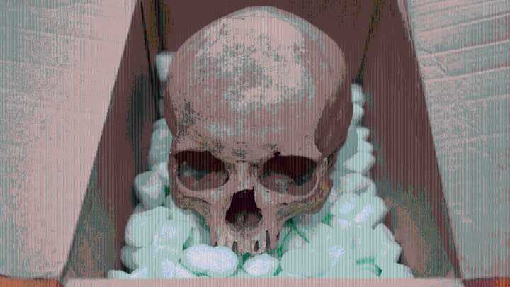 Tourist Stole a Skull From a Cathedral 60 Years Ago