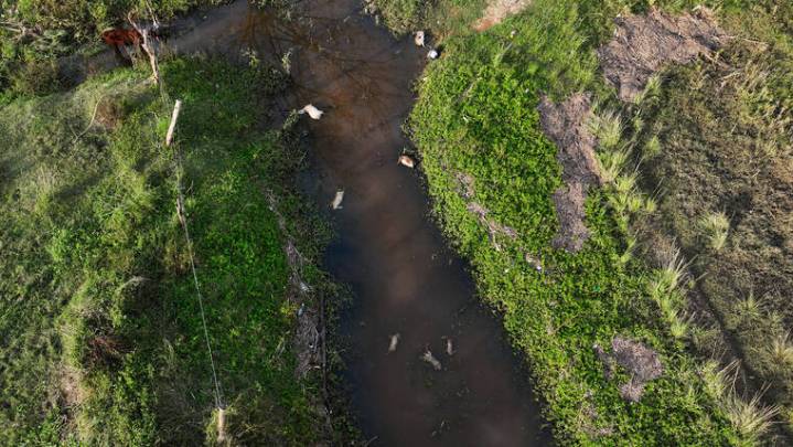 Jamaican farms reel from Hurricane Melissa, fueling fears of food shortages