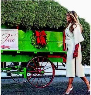 White House gets its Christmas tree