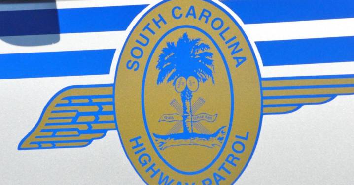 SCHP investigating fatal Dorchester County crash