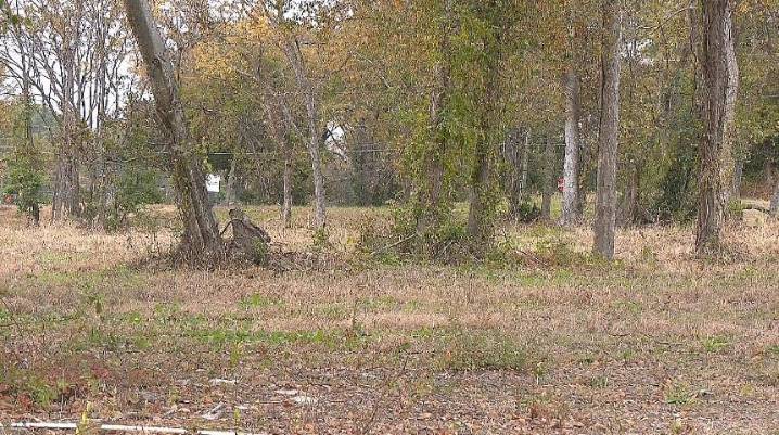 Nic Parish & Burns Group work to market home sites for Columbus Parkview development area