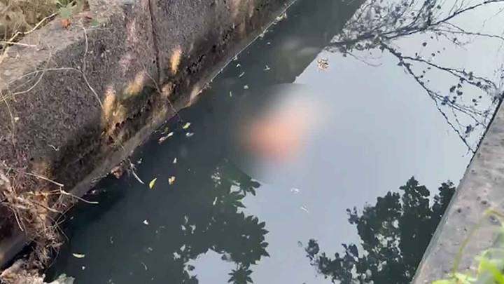Dismembered woman’s body found in Noida