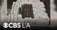 Opioid used to tranquilize elephants seized in LA County DEA operation