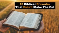 12 Biblical Proverbs That Didn't Make The Cut