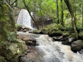 Verano 2026: Inicia la Temporada con un Salto Berrondo renovado