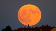 ¿Qué es la Superluna del Castor? El fenómeno que se podrá ver en el cielo este día