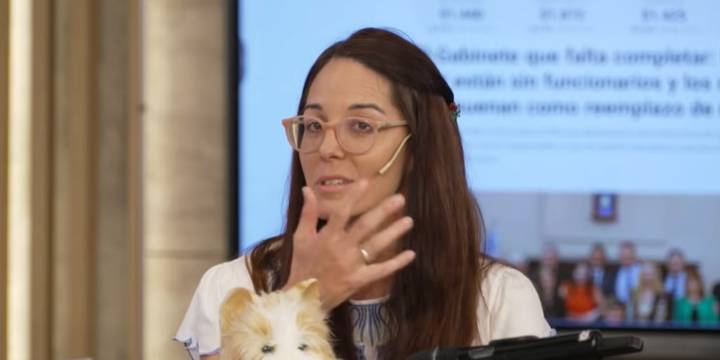 Cómo funciona Flora, la gata robot que ayuda a reducir la ansiedad en adultos mayores