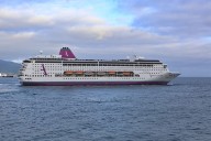 Ambassador and ORCA Raise £18,000 Through Ambassador For Whales