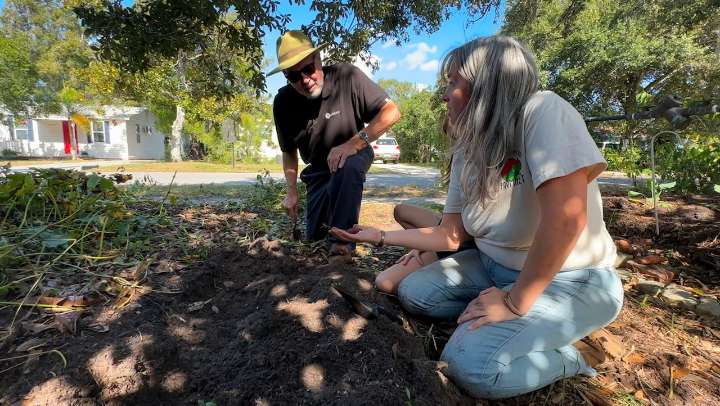 Farmers to show crops at 10th Annual Sweet Potato Roundup