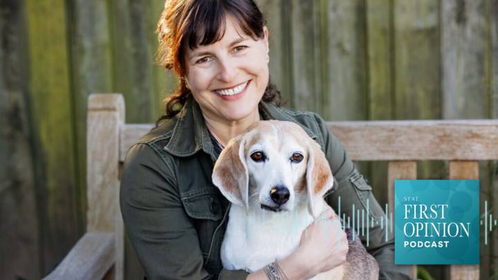 Why so many beagles are used in lab research