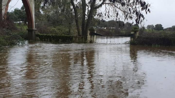 "Nos quedamos aislados": El Vaqueril, la joya de la dehesa cacereña que clama por un acceso digno