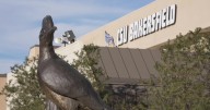Former CSUB athletics director sues university for retaliation and defamation