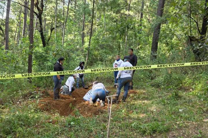 Localizan restos humanos en predio perteneciente diputado del Movimiento del Sombrero