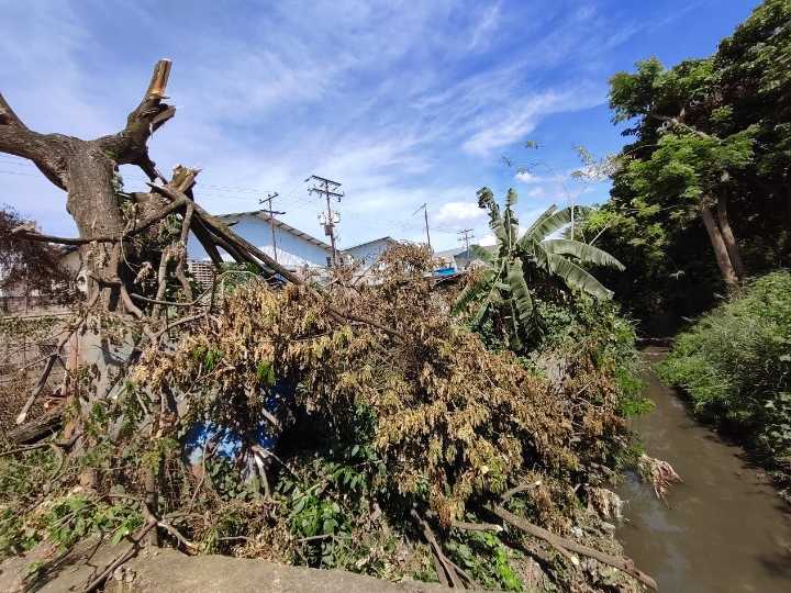 Habitantes de La Mora II alzan su voz ante la desidia