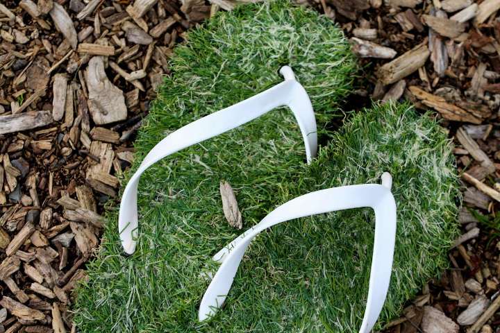 10 Washington-Themed Christmas Gifts Everyone Will Love