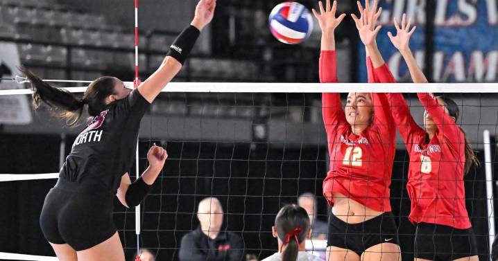 Incarnate Word falls in five sets to Lee's Summit North in Class 5 semifinal