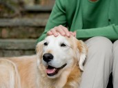 Vet shares the best foods for senior dogs, and more expert pet tips