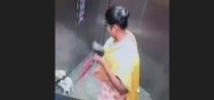 Bengaluru shocker: Domestic worker caught on CCTV killing puppy inside apartment lift; outrage erupts online