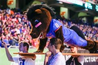 Where to watch Boise State Broncos vs Fresno State Bulldogs college football streaming live on demand for free without cable today; Kickoff time, TV channel, spread, odds