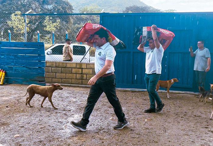 Alcaldía entregó 15 toneladas de concentrado para perros y gatos