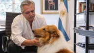 Murió Dylan, el perro de Alberto Fernández
