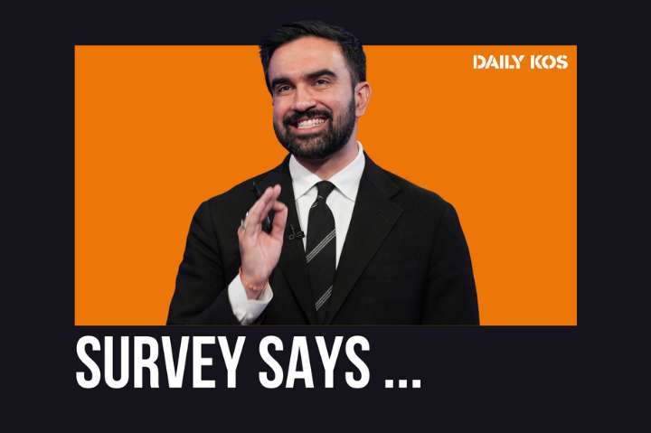 Will a Mamdani win tell us anything about Democrats’ future?