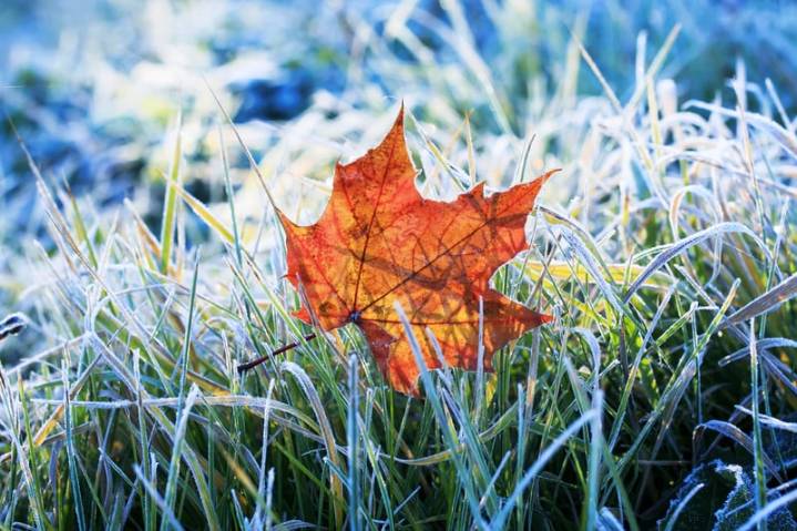 Frost Alert: Cold snap settles over New Jersey as fall temperatures take hold