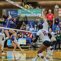 Thunderwolves can't get past Gee