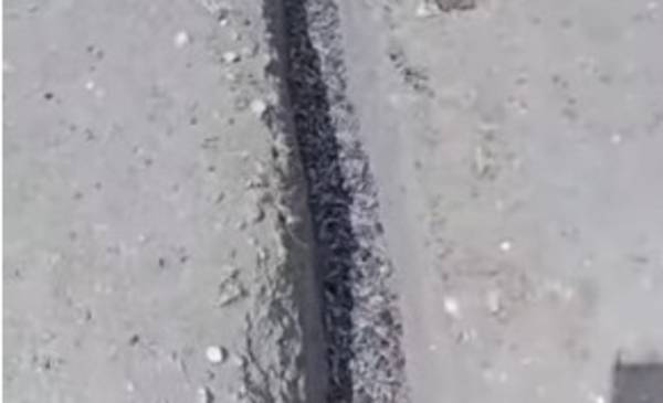 Preocupación por la plaga de Tucuras