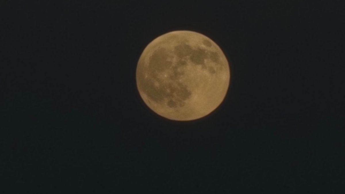 How to spot November's supermoon, the closest of the year