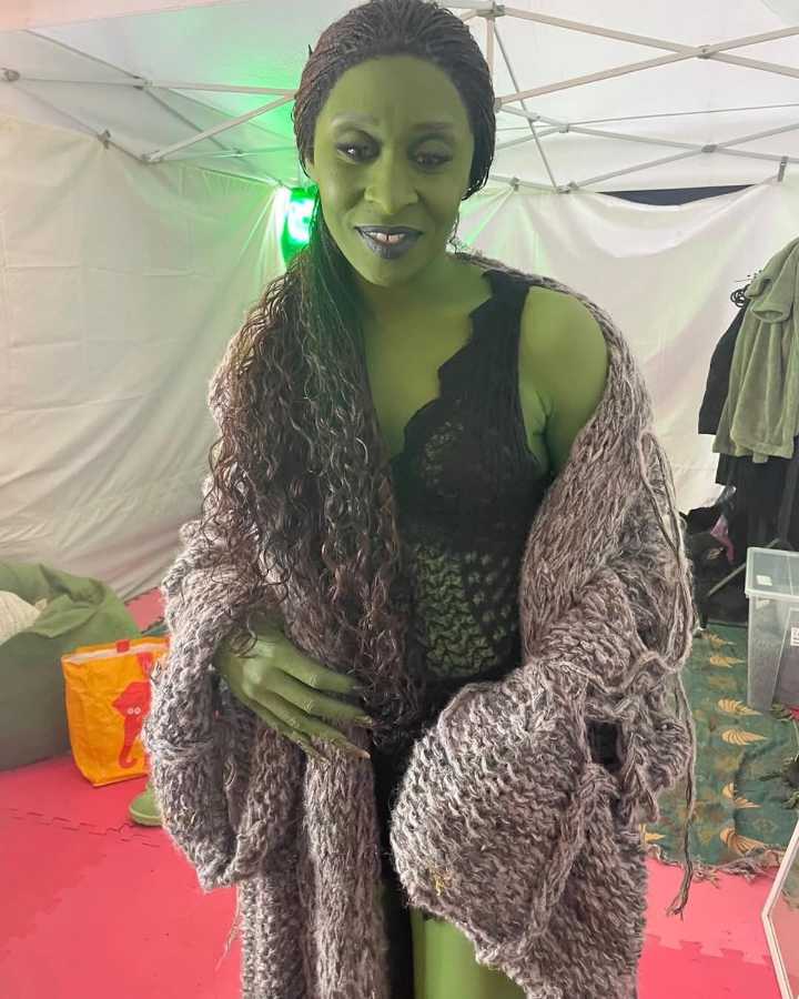 Elphaba's 'Sex Cardigan' Sparks Debate Among 'Wicked: For Good' Viewers