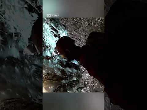 World's Largest Spider Web Discovered In Cave