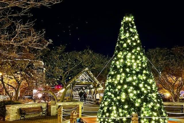 Naper Lights, Letters to Santa, Holly Jolly planned