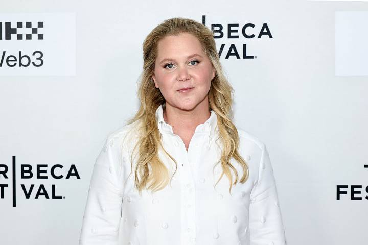 Amy Schumer clears Instagram of pre