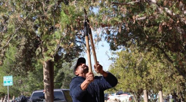 Participaron 100 en taller de poda; los certificarán