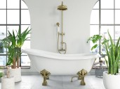 La planta ideal para el baño: absorbe humedad y decora al mismo tiempo