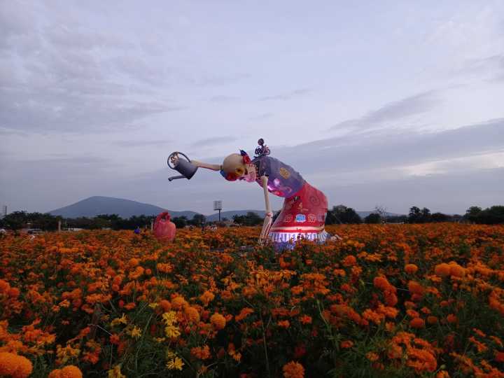 Convoca gobierno estatal a concurso fotográfico para reflejar riqueza natural y potencial turístico