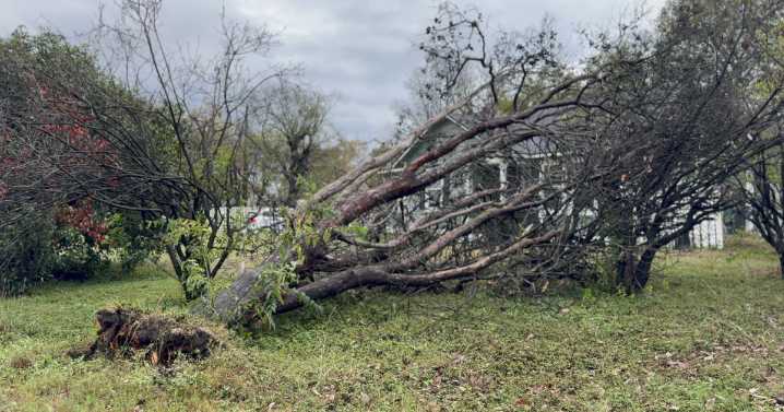 Lightning strike catches tree, mattress pile on fire in Waco during storm