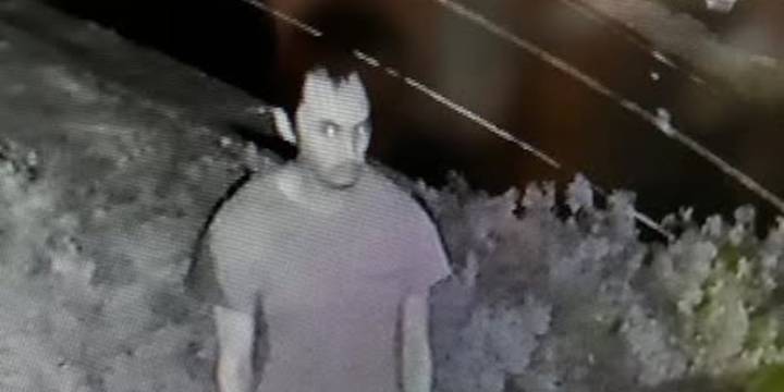 Police seeking help in identifying Ludlow breaking and entering suspect