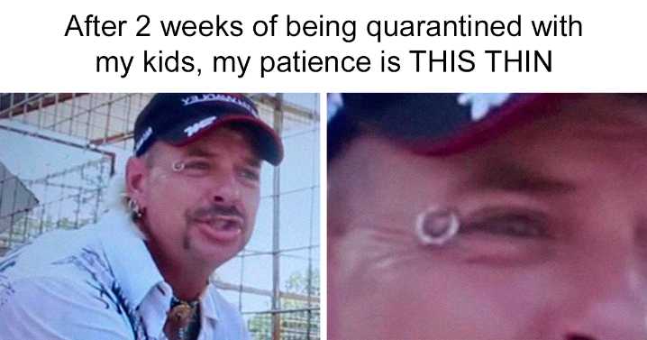 20 Best Memes Inspired By The Tiger King