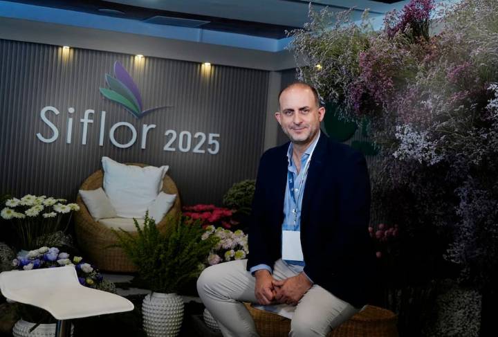 Flores ecuatorianas podrían alcanzar ventaja inédita en Estados Unidos si se elimina la sobretasa