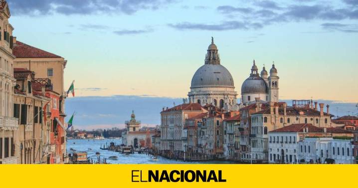 Un delfín en Venecia: entre la fascinación de los turistas y la alarma de los ecologistas