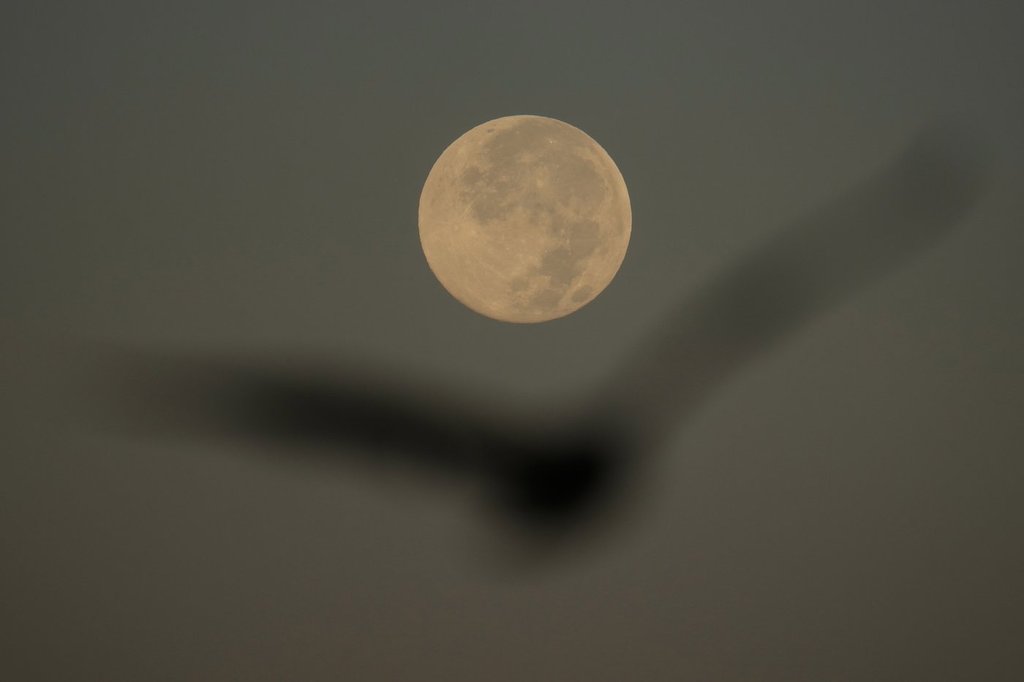 How to spot November’s supermoon, the closest of the year
