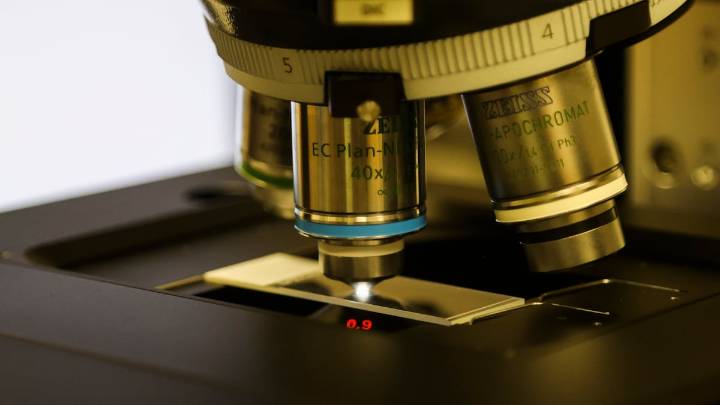 I taught math for 31 years. Here’s why humanities are important